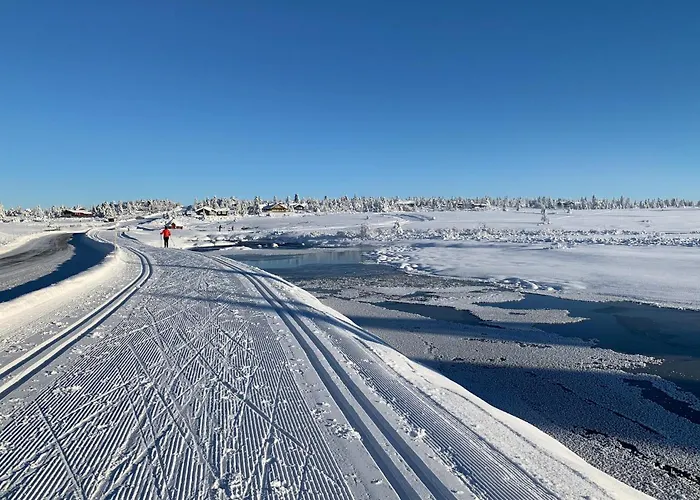 Beautiful In With Wifi Sjusjoen